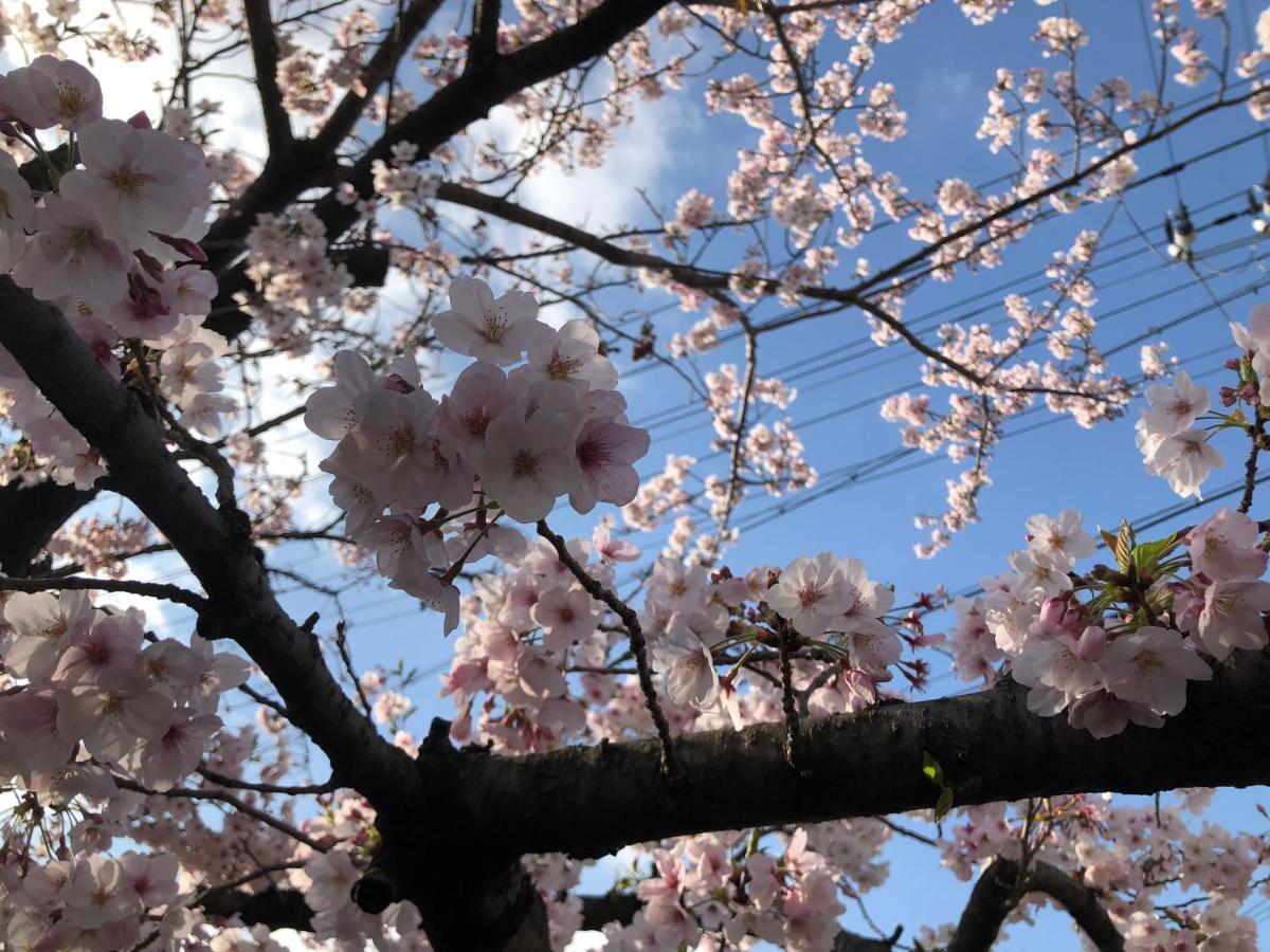 Masaru House Villa Osaka Dış mekan fotoğraf
